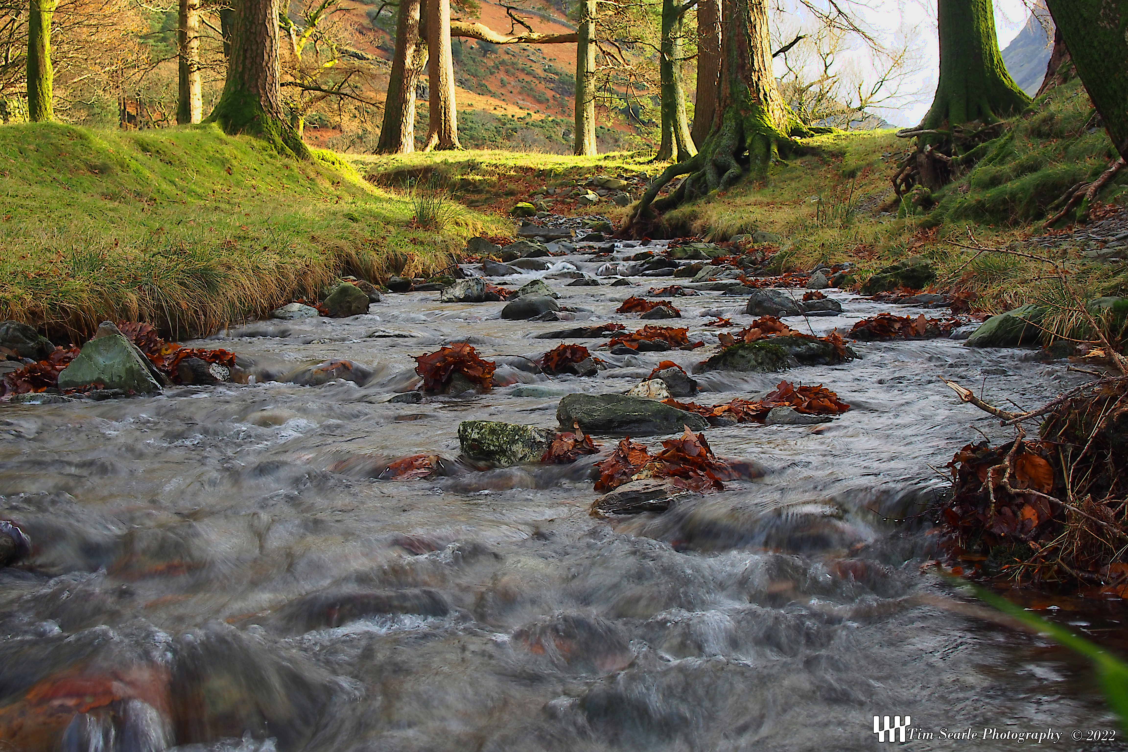 Buttermere stream