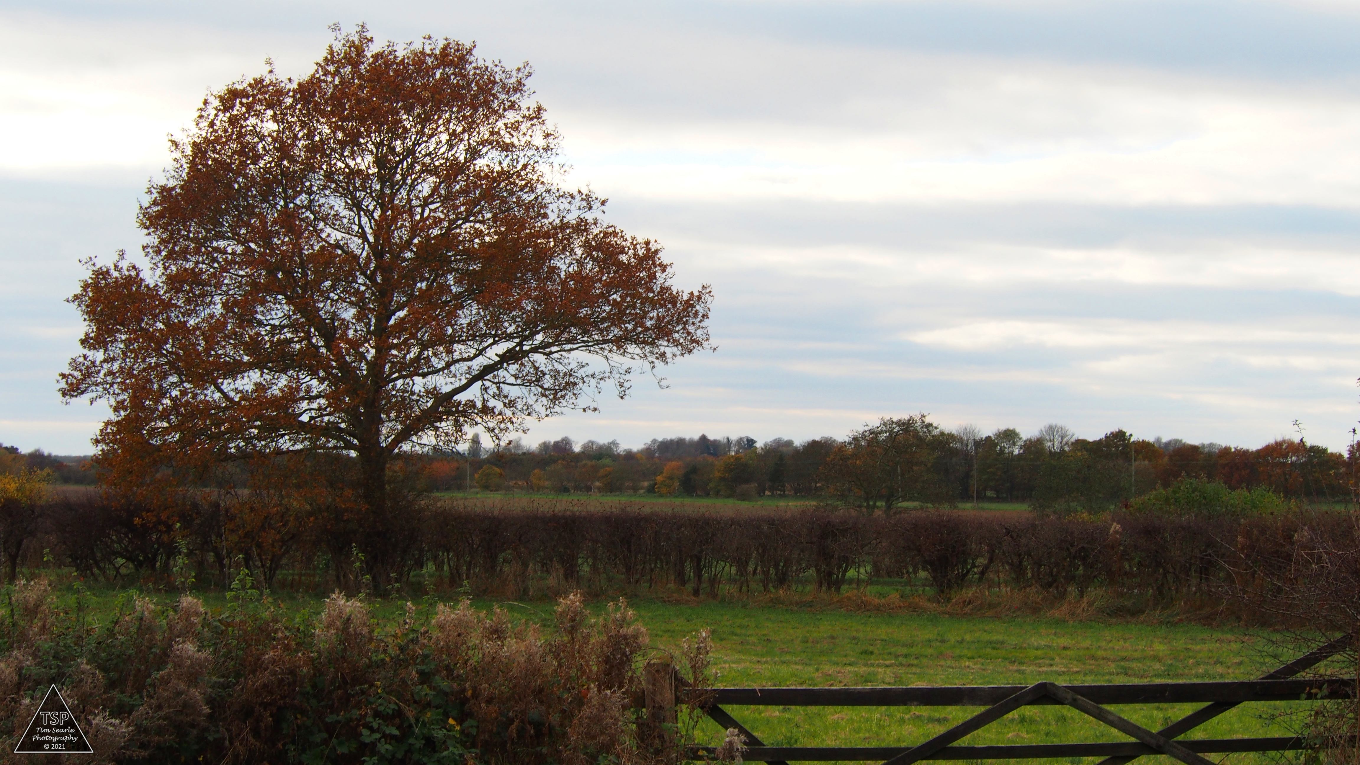 Lincolnshire Skyline